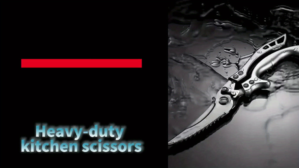 Forbici da Cucina Professionali in Acciaio Inox - Multiuso per Carne, Pollame e Verdure